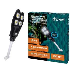 Уличный светодиодный светильник Duwi Solar Led Pro 24293 6