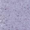 Линолеум Tarkett IQ Megalit (АйКью Мегалит) 3390524 (рулон: 2x23=46 м2)