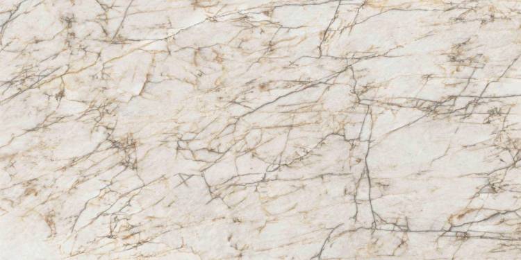 Керамогранит Laminam Diamond LAMFF01360_IT Cristallo Macchia Vecchia Lucidato 162x324