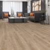 Ламинат Alpine Floor by Camsan Premium 10/32 4V P 1001 Дуб Кашемир 1380x190 фото 2