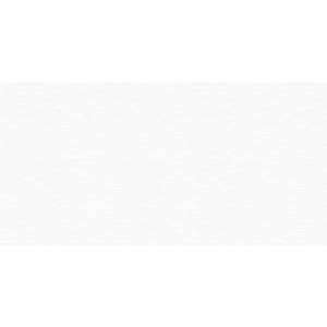 Керамическая плитка AltaCera WT9LST00 Blanco 24.9x50