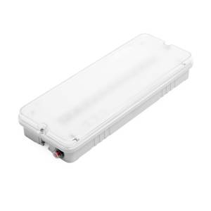 Аварийный светильник Wolta Pro ориентир мини ДБО03-3-051-6К