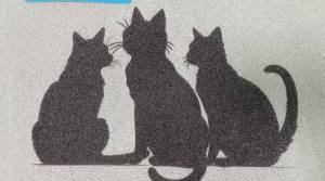 Коврик придверный Dabar Дизайн 144 40x60 см