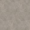 LVT Плитка Wineo 800 Stone XL 2.5/42 DB00094 Бетон безупречный 914x457