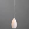 Подвесной светильник Arte Lamp Bicchiere A4282SP-1CC фото 2