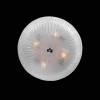 Потолочный светильник Lightstar Zucche 820840 фото 3