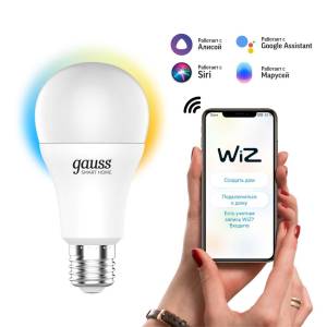 Лампа светодиодная диммируемая Gauss Smart Home 1130112
