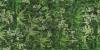 Керамогранит ABK Wide & Style 0009561 Secret Garden 120x280