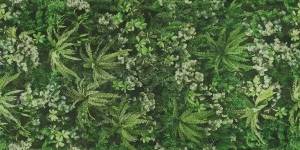 Керамогранит ABK Wide & Style 0009561 Secret Garden 120x280