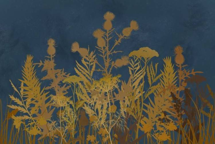 3D Фотообои Artegrafico «Полевые растения ночью» HRB-023 акварель