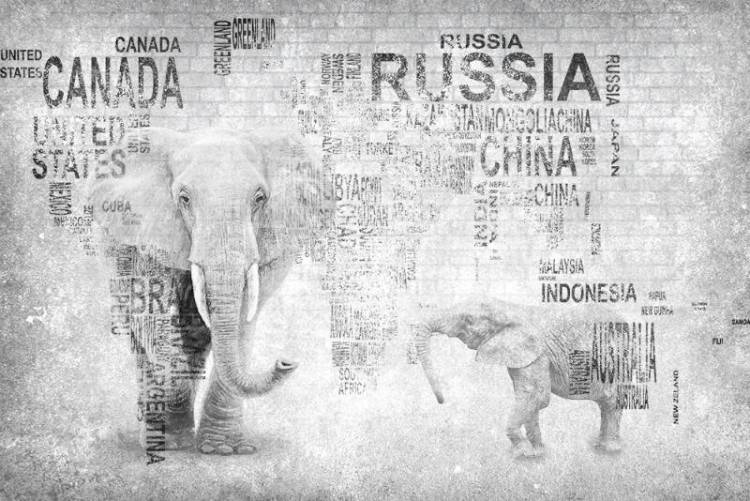 3D Фотообои Artegrafico «Карта из слов в стиле лофт» PD-055 песок