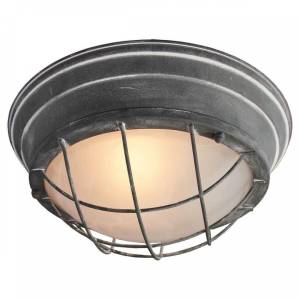Потолочный светильник Lussole Loft Brentwood GRLSP-9881