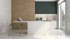 Керамогранит Pamesa Amarna Shell Leviglass 120x120 фото 2