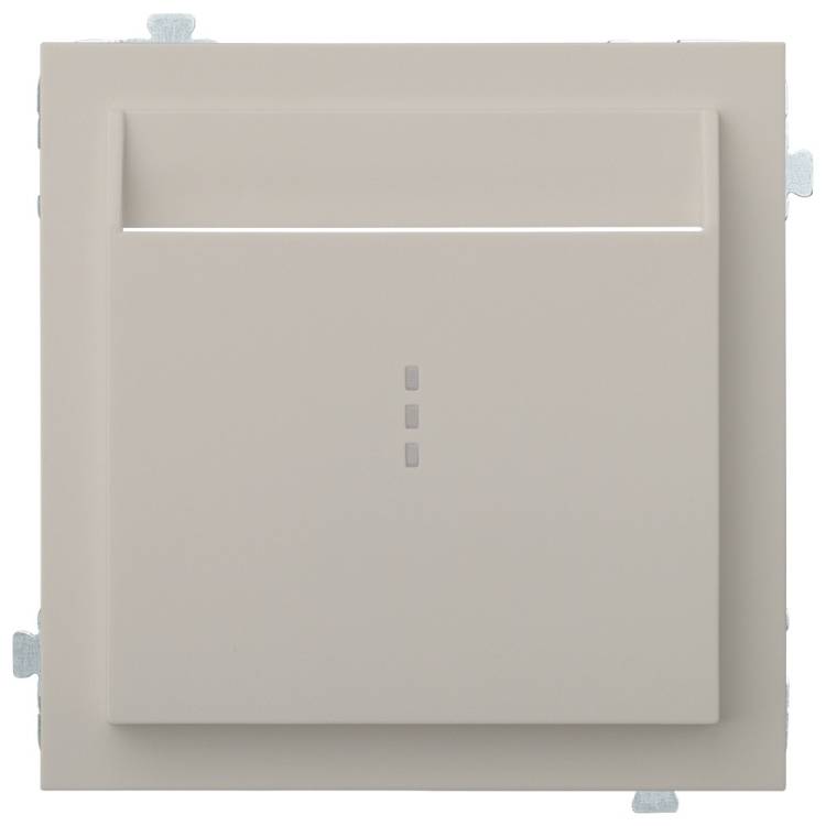 Лицевая панель для карточного выключателя Rikett 35731 LN лен