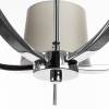 Подвесная люстра Divinare Soprano 1341/02 LM-5 фото 3
