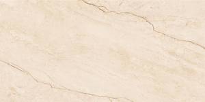 Керамогранит NT Ceramic Infinity NTTVL99956D Barcelona Beige 60x120
