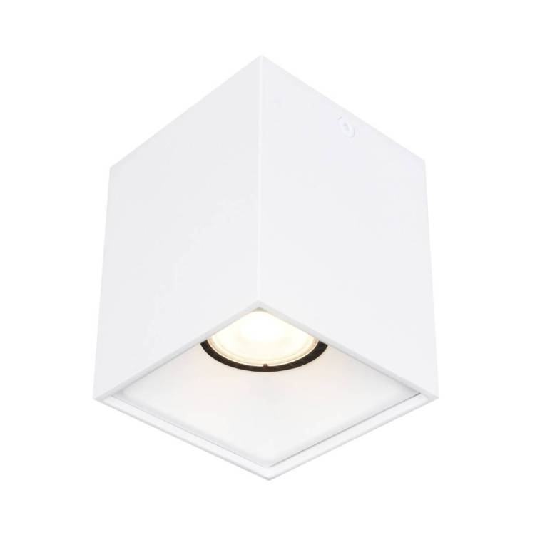 Светильник потолочный ST Luce ST168.502.01