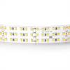 Светодиодная лента Lightstar 423004