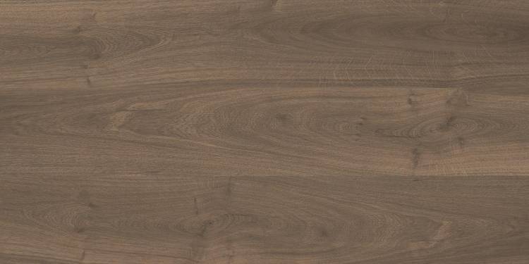 Laparet Wood Latina