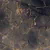 Керамогранит Primavera GR101 Golden Black High Glossy 60x60 фото 6
