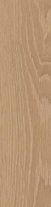Керамогранит Kerama Marazzi Листоне SG402100N 9.9x40.2
