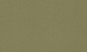 Обои Rasch Trend 975598