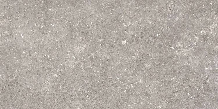 Керамогранит Pamesa Dover 096.022.0002.00206 Gris MT Rect 60x120