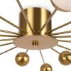 Люстра Freya Celebrity FR5242CL-16BS фото 2