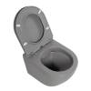 Унитаз подвесной BelBagno Colorato BB062CHR-GR/BB062SC-GR безободковый, сиденье микролфит фото 3