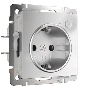 Умная встраиваемая розетка с заземлением с защитными шторками Werkel W1171606