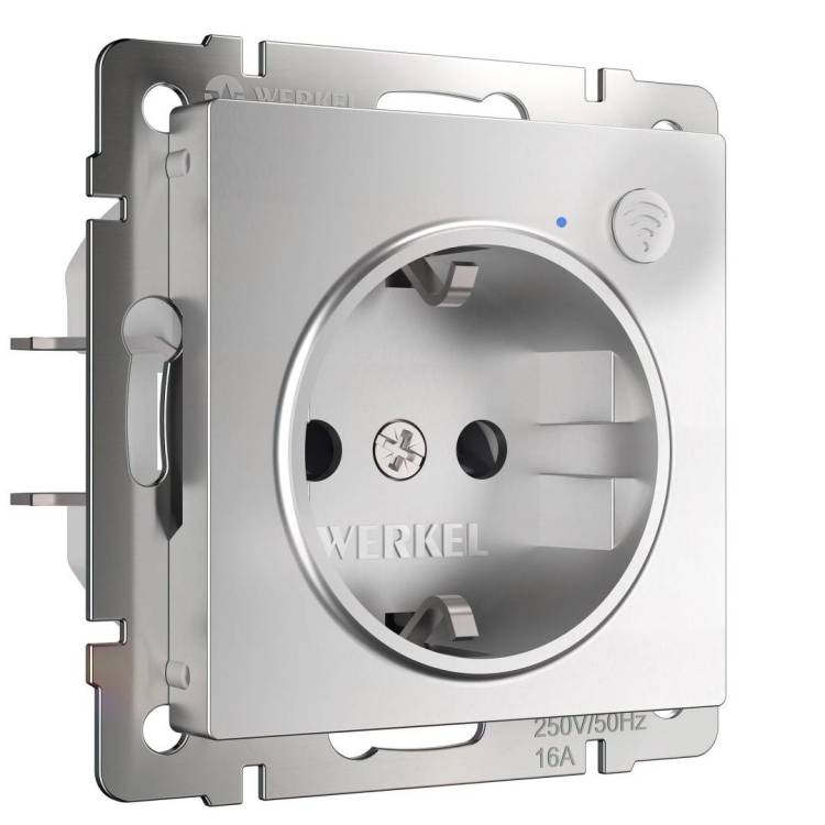 Умная встраиваемая розетка с заземлением с защитными шторками Werkel W1171606