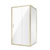 Душевой уголок Niagara Nova NG-42-9AG-A80G (90x80x190)