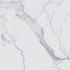 Керамогранит Rex Ceramiche I Classici Di Rex 746597 Statuario Soft 120x120