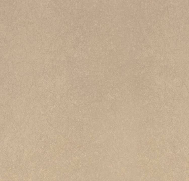 Обои флизелиновые Bernardo Bartalucci Legend 5068-20