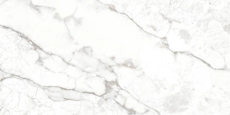 Керамогранит Ocean ceramic OC0000176 Breccia Bianco 60x120