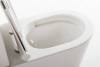 Унитаз-компакт BelBagno Flay-r BB2149CPR/SC + BB2149T фото 7