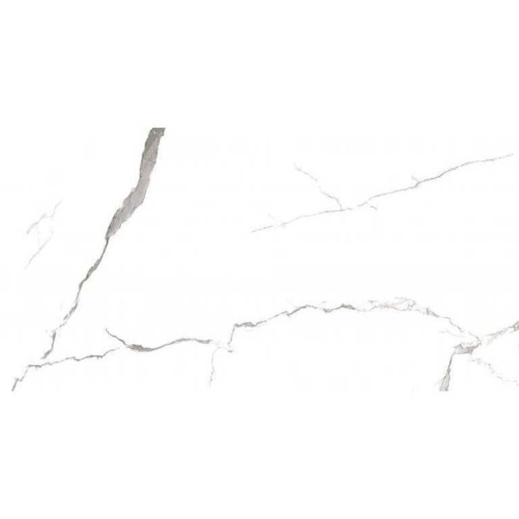 Керамогранит Fakhar Calcatte 61w1220a Matt 59.8x119.8