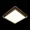 Потолочный светодиодный светильник Loft IT Mike 10172 фото 2