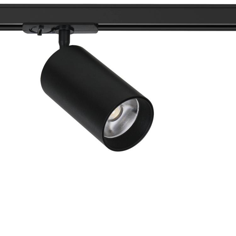 Светильник потолочный Arte Lamp Aero A1337PL-1BK