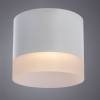 Потолочный светильник Arte Lamp Castor A5554PL-1WH фото 3