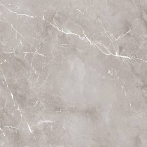 Керамогранит Ariana Epoque PF60004313 Grey Lap 60x60