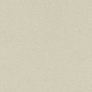 Обои виниловые Rasch Tapetenwechsel 633344