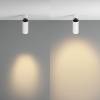Светильник Technical Ceiling C055CL-L12W2.7K-Z-W фото 4
