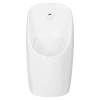 Писсуар Aquatek AQ3060-S-00 фото 2
