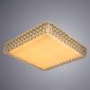 Потолочный светодиодный светильник Arte Lamp Celeste A1571PL-1CL фото 2