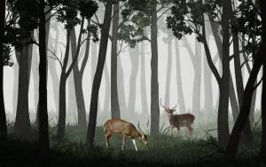 3D Фотообои Artegrafico «Олени в тёмном лесу» VG-015 канвас