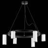 Подвесная люстра Lightstar Rullo LR016363863 фото 3