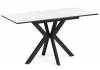 Кухонный стол Woodville Гардинг 676462 белый мрамор / черный