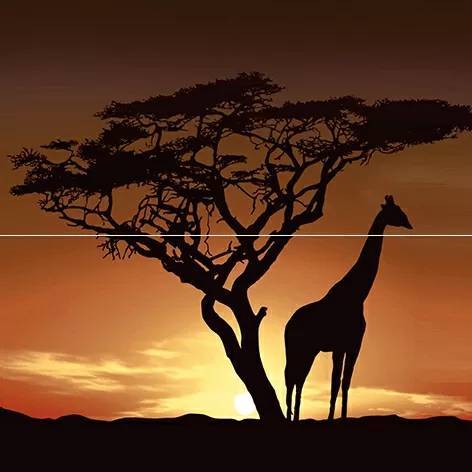 Панно Laparet Africa P2-1D210 40х40