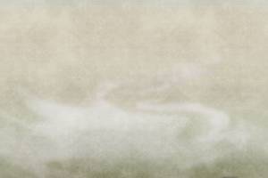 Фреска Ortograf Pastel 35181 В загадочной дымке Флок FLK